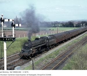 MM00139C