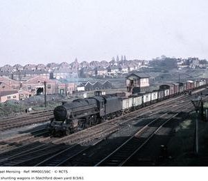 MM00156C