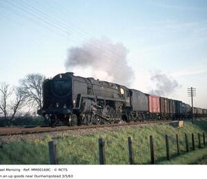 MM00169C