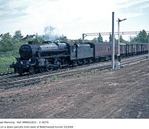 MM00181C