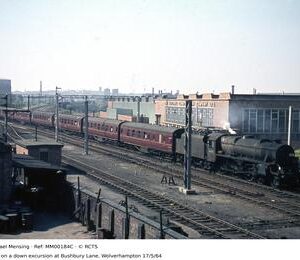 MM00184C