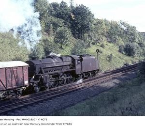 MM00195C