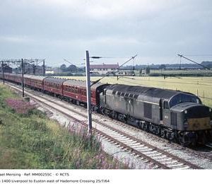 MM00255C