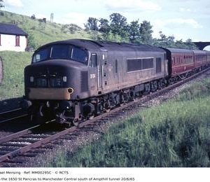 MM00295C