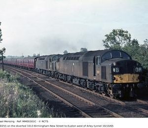 MM00301C