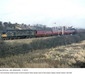 MM00305C