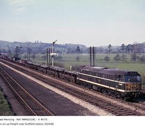 MM00319C