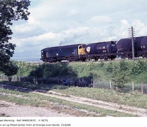 MM00367C