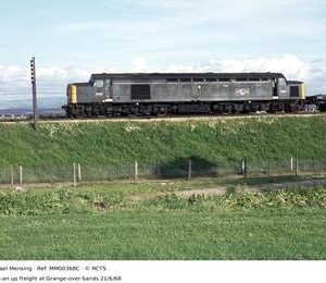MM00368C