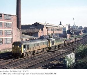 MM00395C