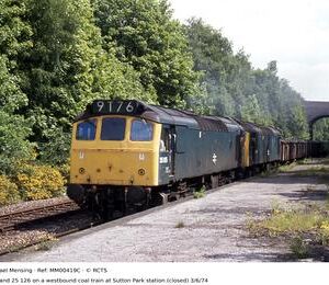 MM00419C