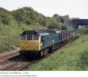 MM00424C