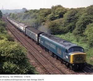 MM00425C