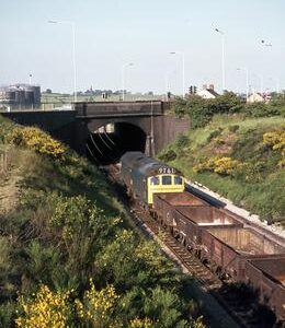 MM00426CVF