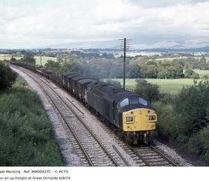 MM00437C