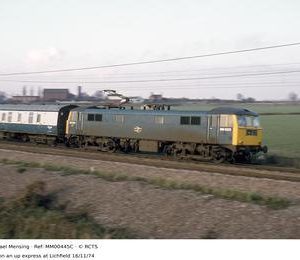 MM00445C