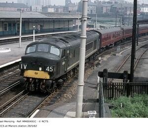 MM00491C