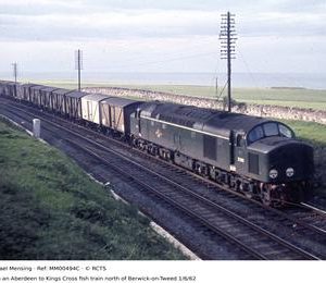 MM00494C