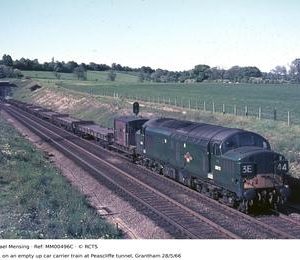 MM00496C
