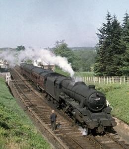 MM00509CVF