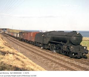 MM00549C