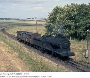 MM00554C