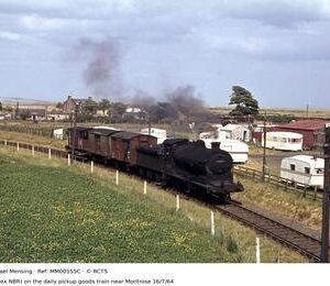 MM00555C