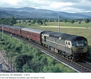 MM00560C