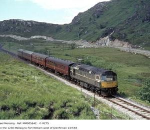 MM00564C