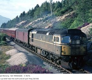 MM00569C