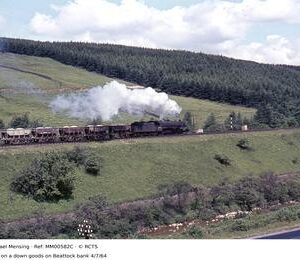 MM00582C