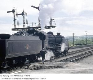 MM00591C