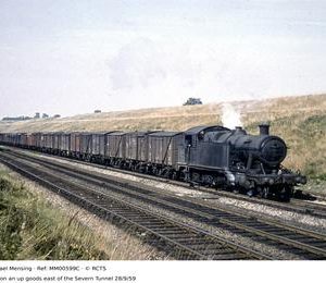 MM00599C
