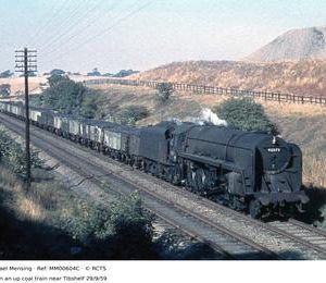MM00604C