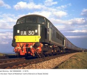 MM00659C