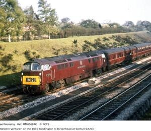 MM00687C