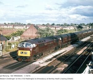 MM00694C