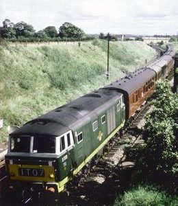 MM00710CVF