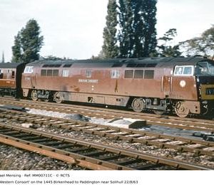 MM00711C