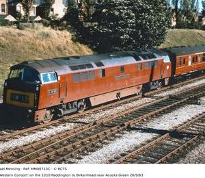MM00713C