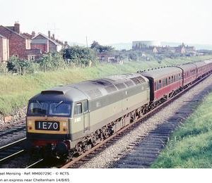 MM00729C