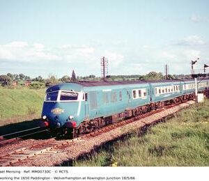 MM00730C