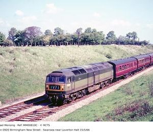 MM00810C