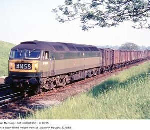 MM00815C