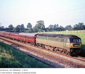 MM00835C