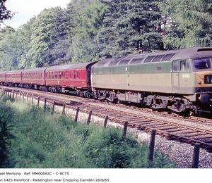 MM00842C