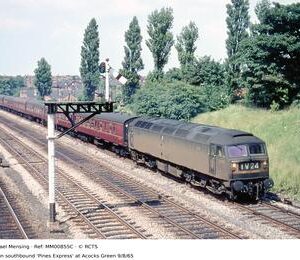 MM00855C
