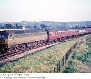 MM00856C