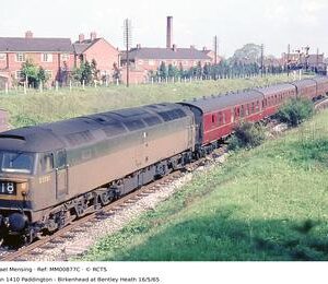 MM00877C