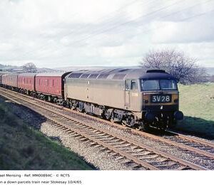 MM00894C